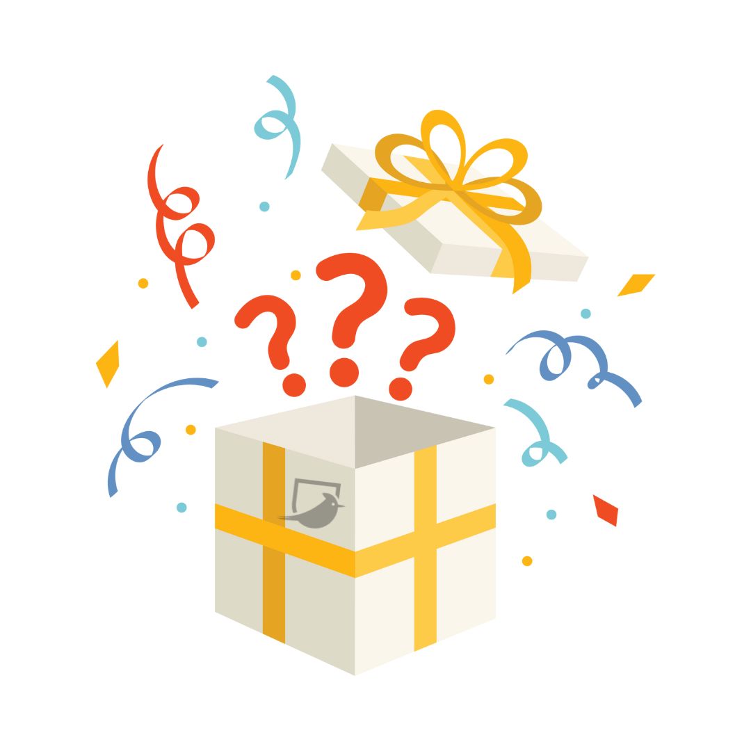 🛍️ Surprise *Mystery* Gift