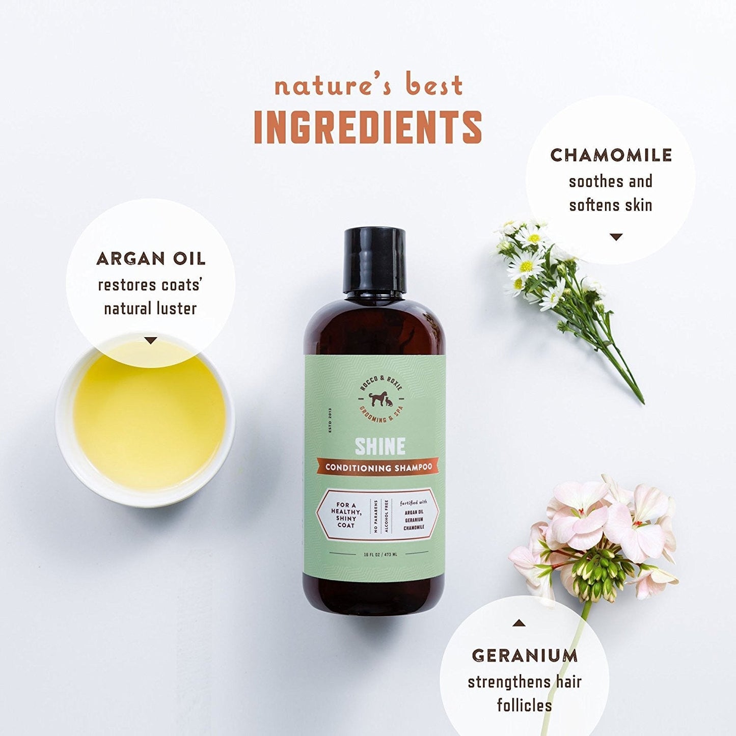 Shine Conditioning Shampoo