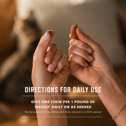 Rocco & Roxie Cat Probiotic Health Supplement